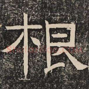 根
