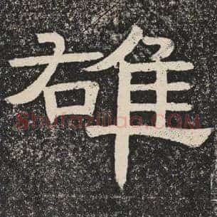 雄