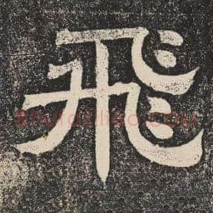 飞