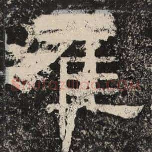 崔