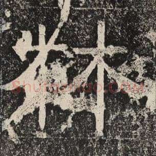 林