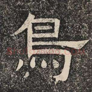 鸟