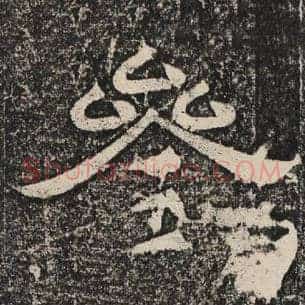参
