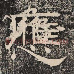 应