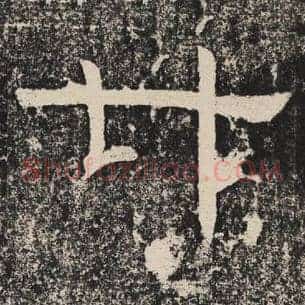 廿