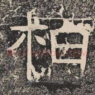 柏