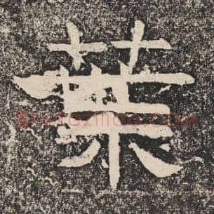 叶