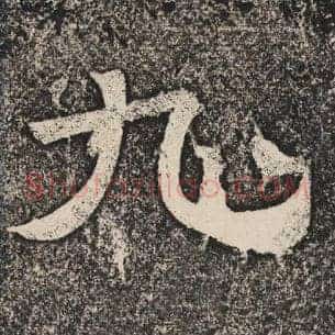 九