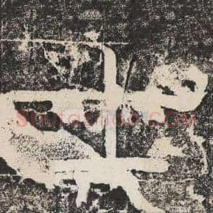士
