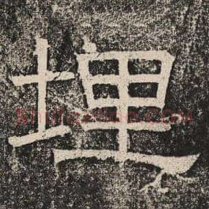 埋