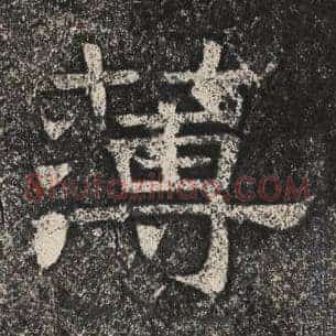 薄
