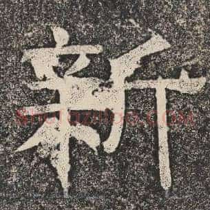 新