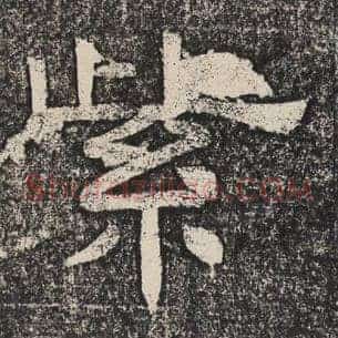 紫