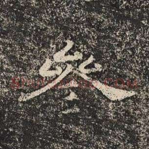 参