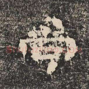 尚