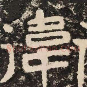 卫