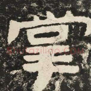 掌