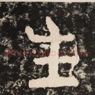 生
