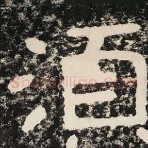 须