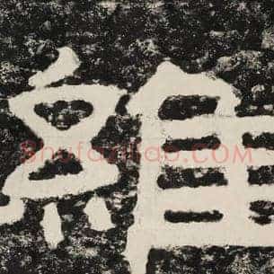 维
