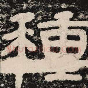 种