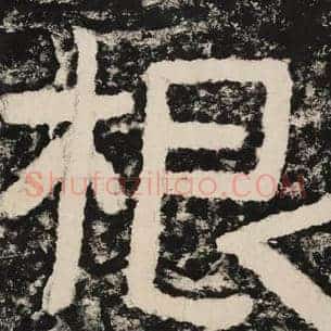 根