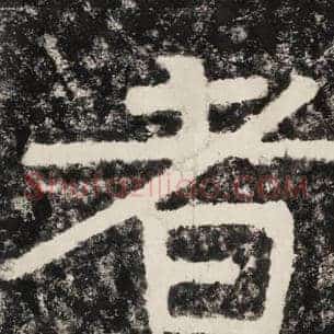 者
