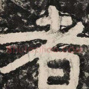 者