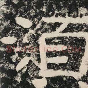 须