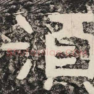 须