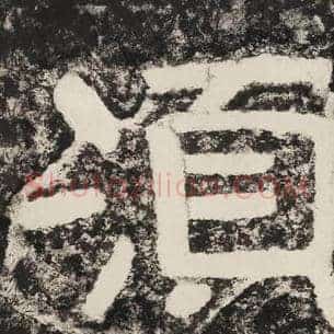 须