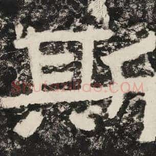 斯