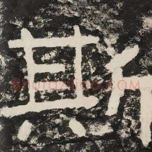 斯