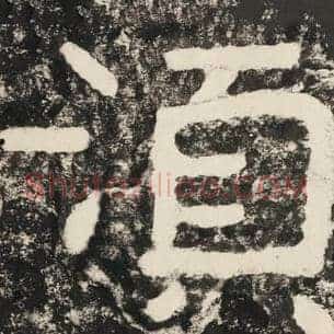 须