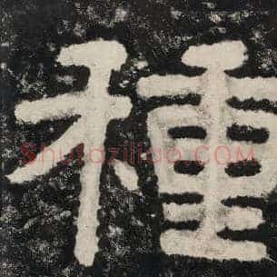 种