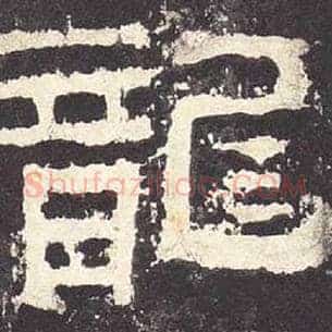 龙