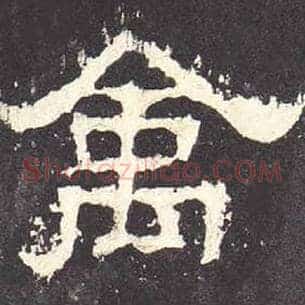 禽