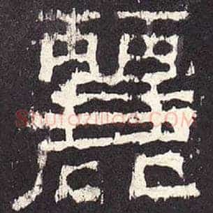 丽
