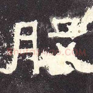 股
