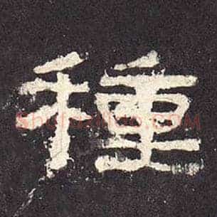 种