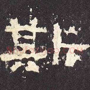 斯