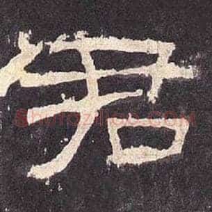 君