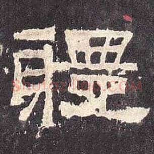 体