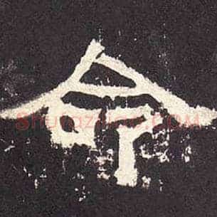命