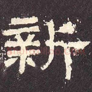 新
