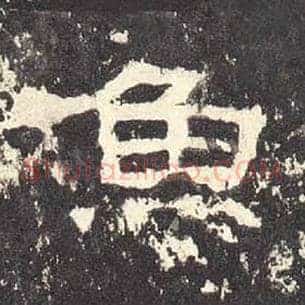 鱼