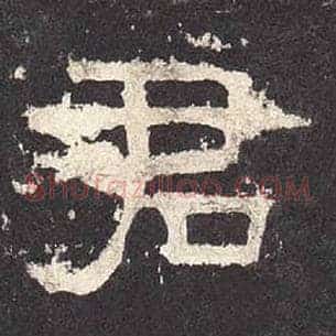 君