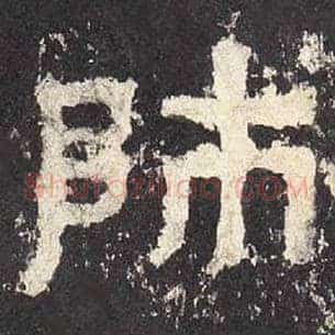 师