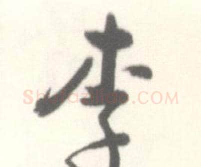 李字启功毛笔行书书法写法,摘自临苏轼手札