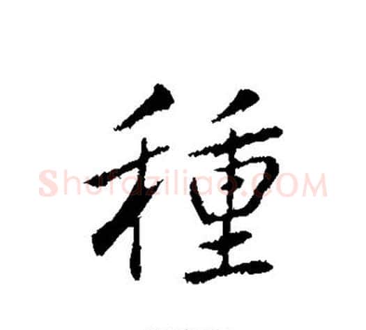 种字弘历(乾隆)毛笔行书书法写法,摘自弘历(乾隆)毛笔行书书法作品